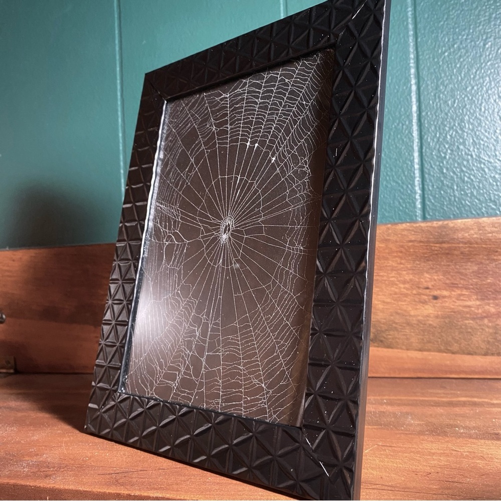 Real Spiderweb Frame 🕷️ 🕸️ - Picture 3 of 7
